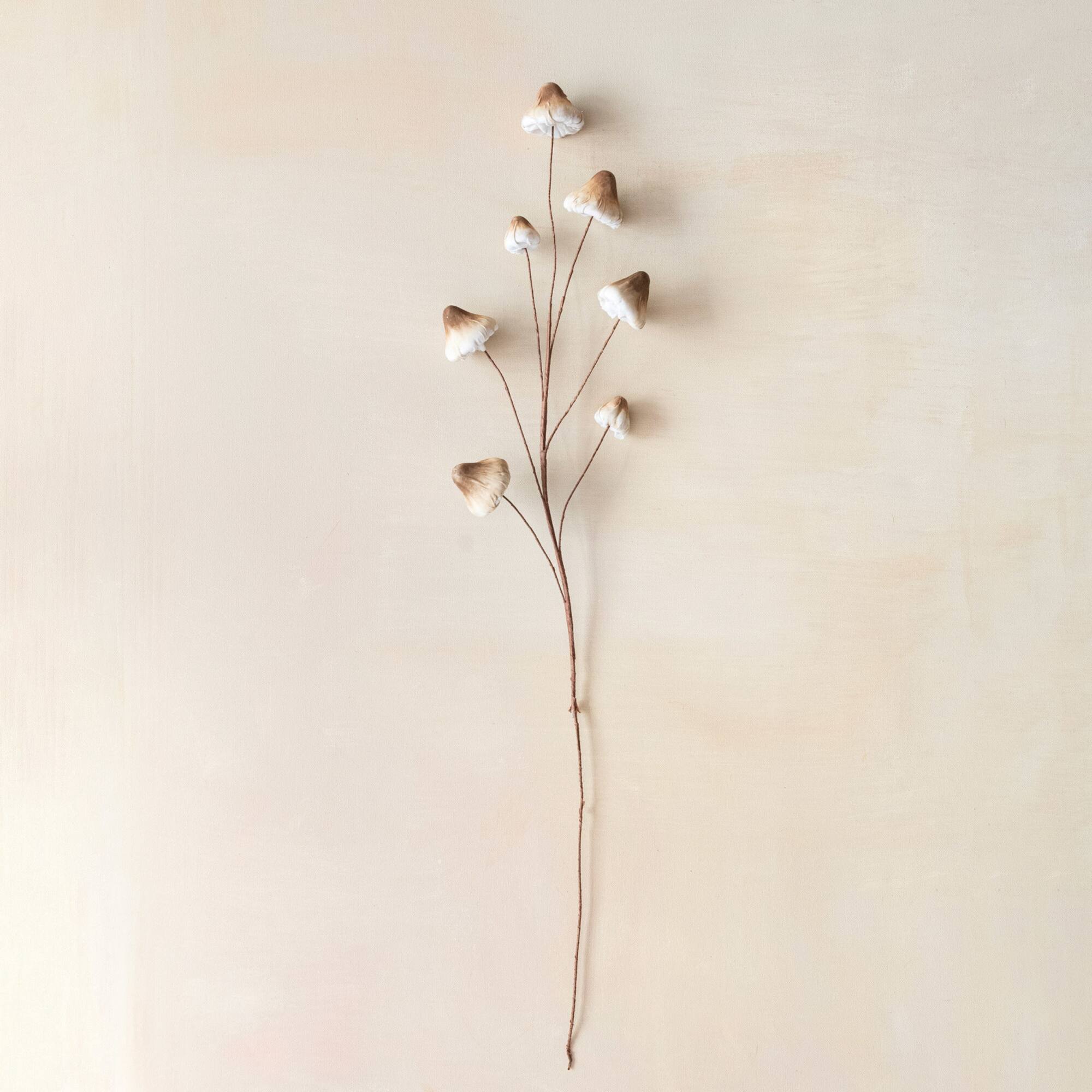 Hello Honey® 32" Brown Mushroom Spray